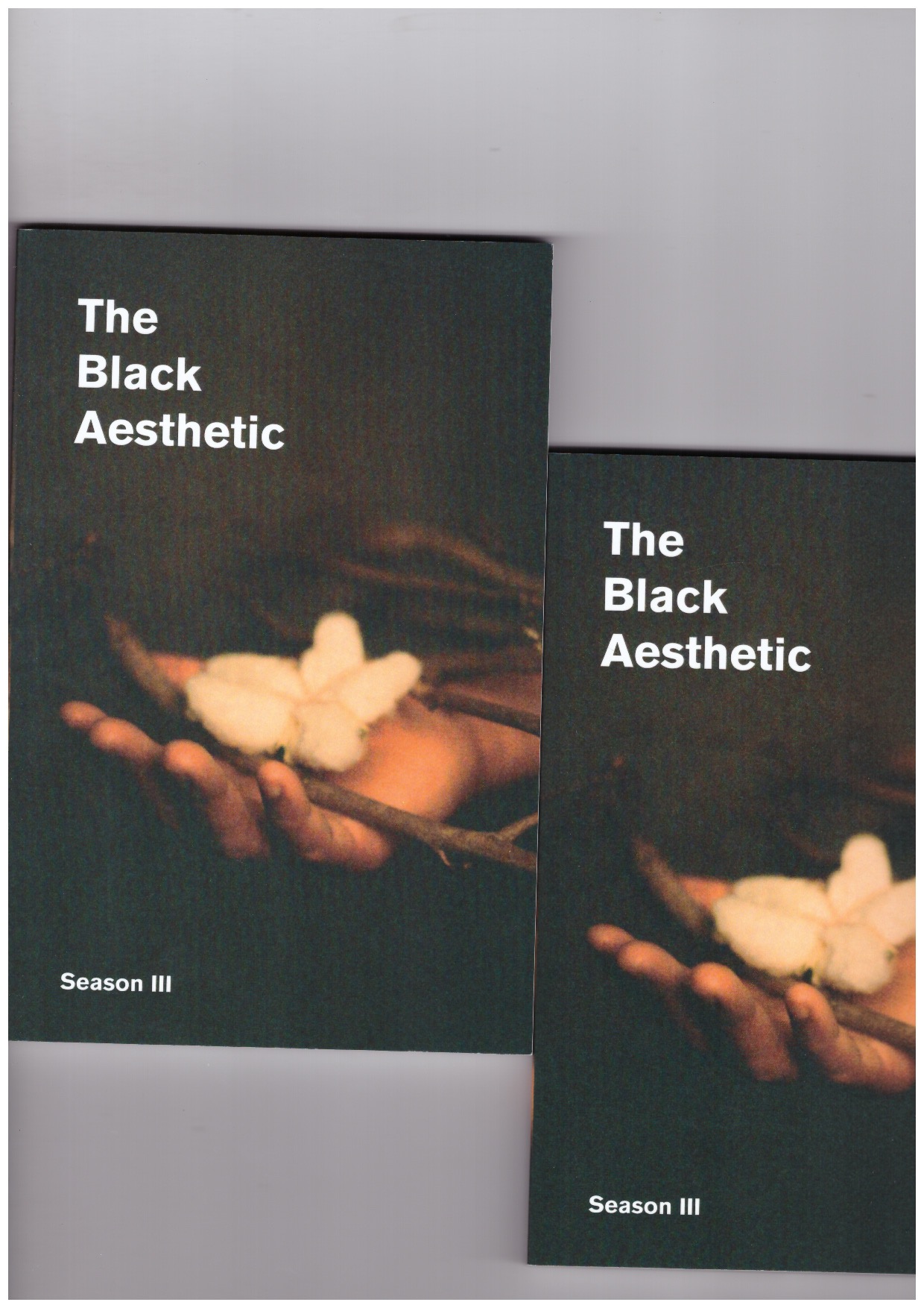 collymore, nan; The Black Aesthetic Curatorial Collective (eds.) - Black Aesthetic Season III. Black Interiors